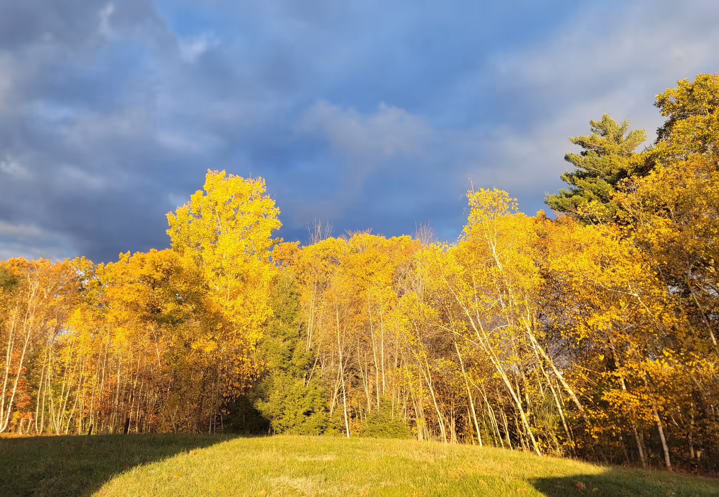 Autumn colors across the estate